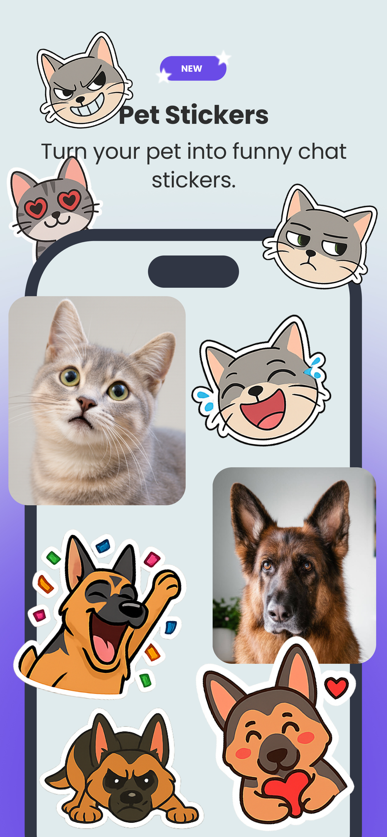 Petify pet stickers and creative content preview