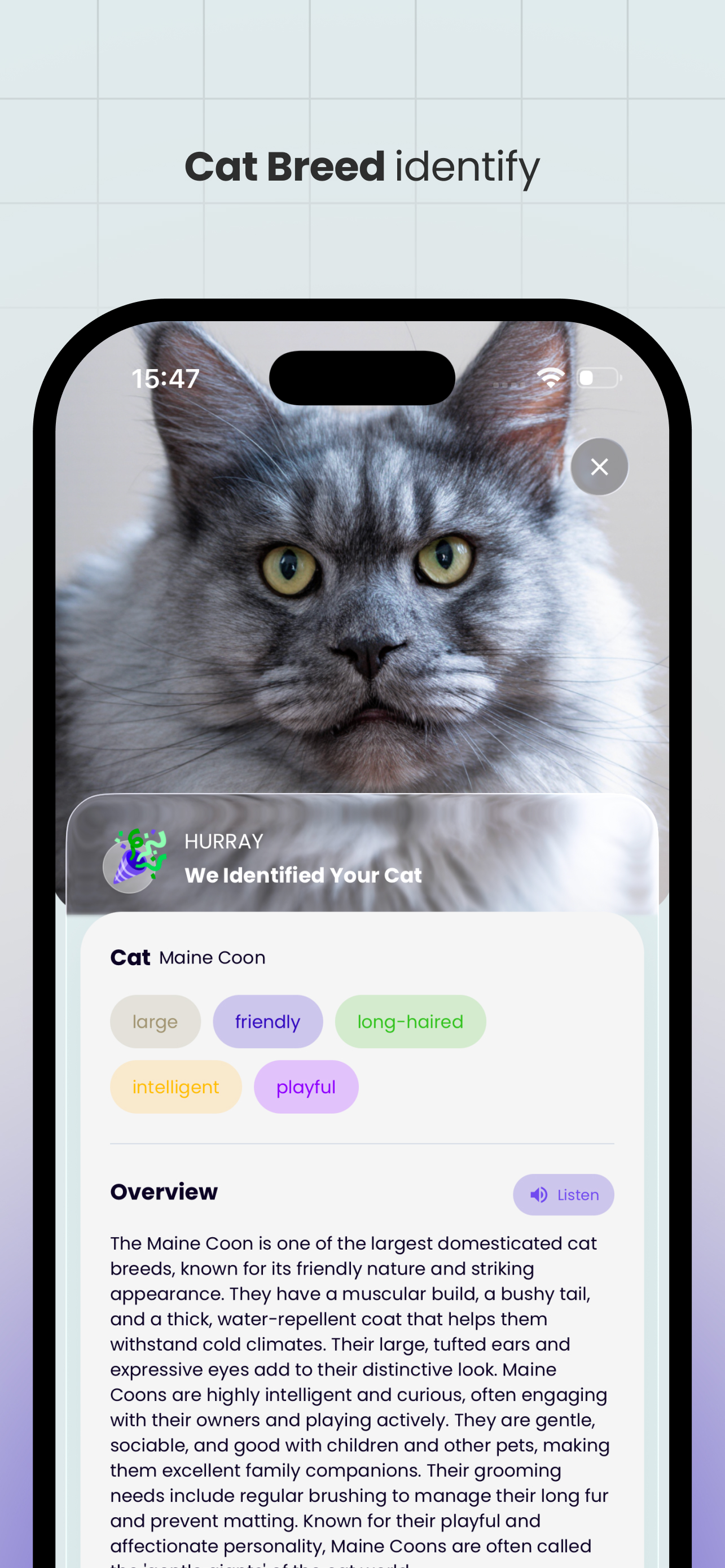 Petify pet wallpaper or gallery feature on a phone