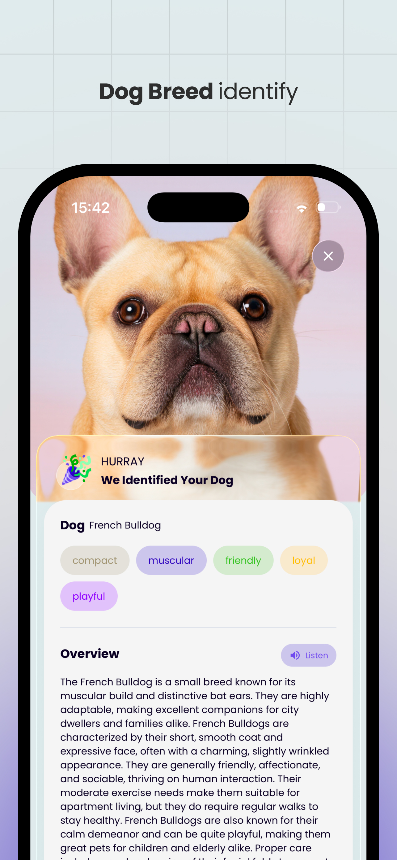 Petify shareable pet content and fun photo results